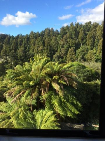 Tekoa Lodge Raurimu Exterior photo